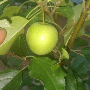 Meet your Posher, W.